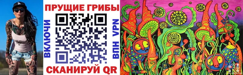Псилоцибиновые грибы Psilocybe где купить наркотик Салаир